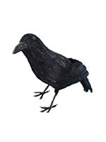 Crow Feathered, Black *** 1 ONLY IN STOCK ***